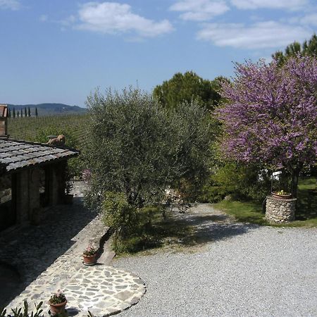 Casa Lucia In Chianti Bed & Breakfast Vagliagli Dış mekan fotoğraf