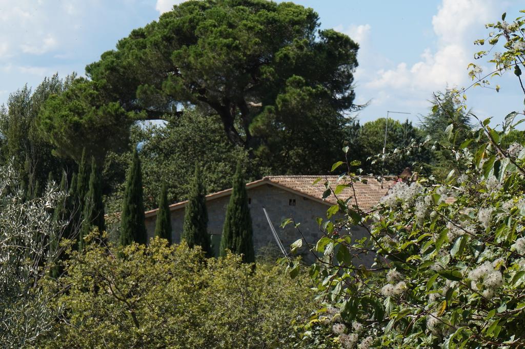 Casa Lucia In Chianti Bed & Breakfast Vagliagli Dış mekan fotoğraf