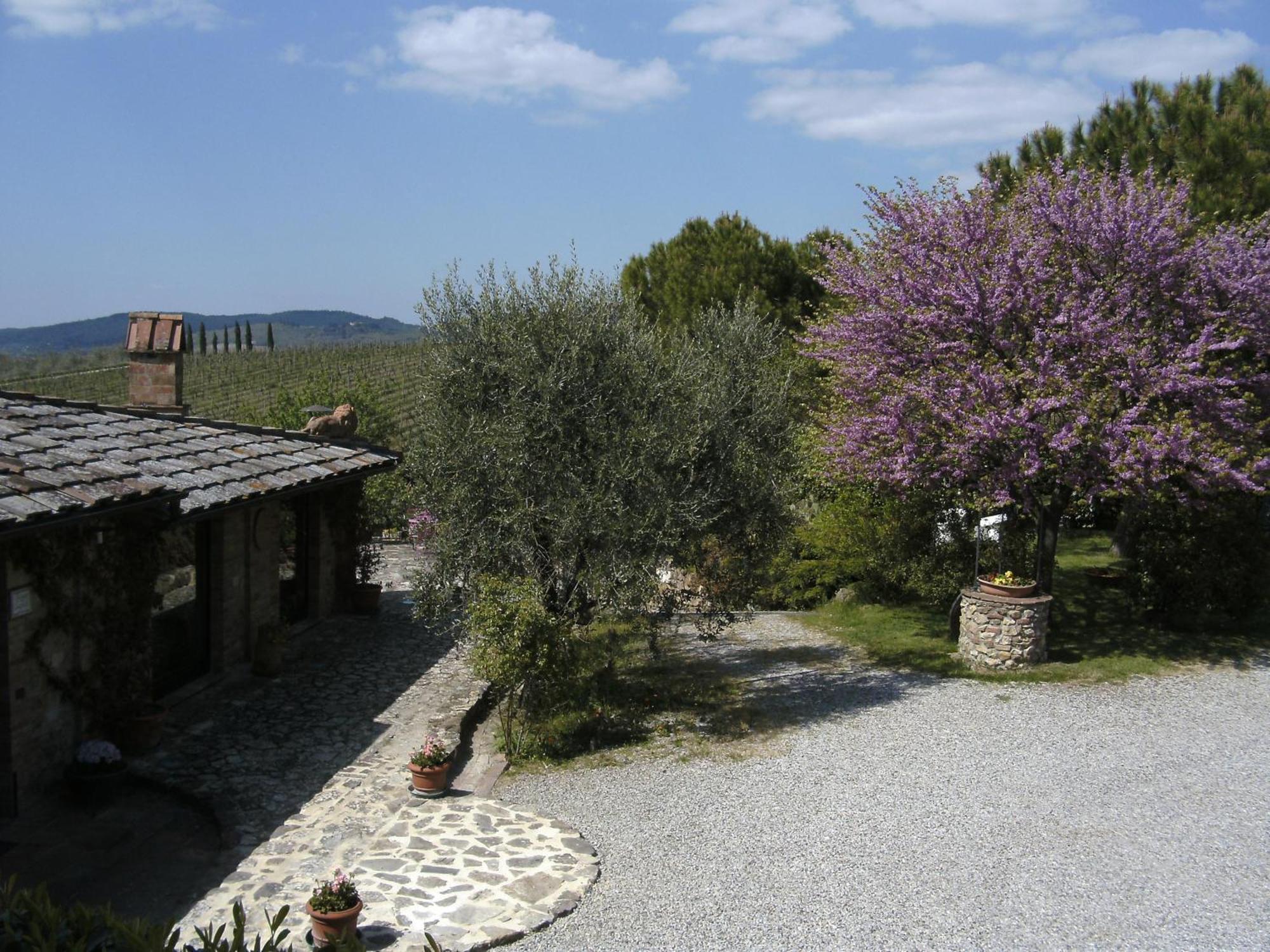 Casa Lucia In Chianti Bed & Breakfast Vagliagli Dış mekan fotoğraf