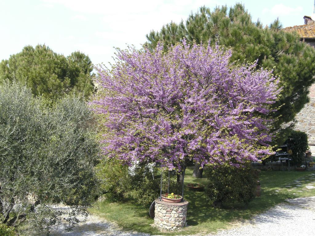 Casa Lucia In Chianti Bed & Breakfast Vagliagli Dış mekan fotoğraf
