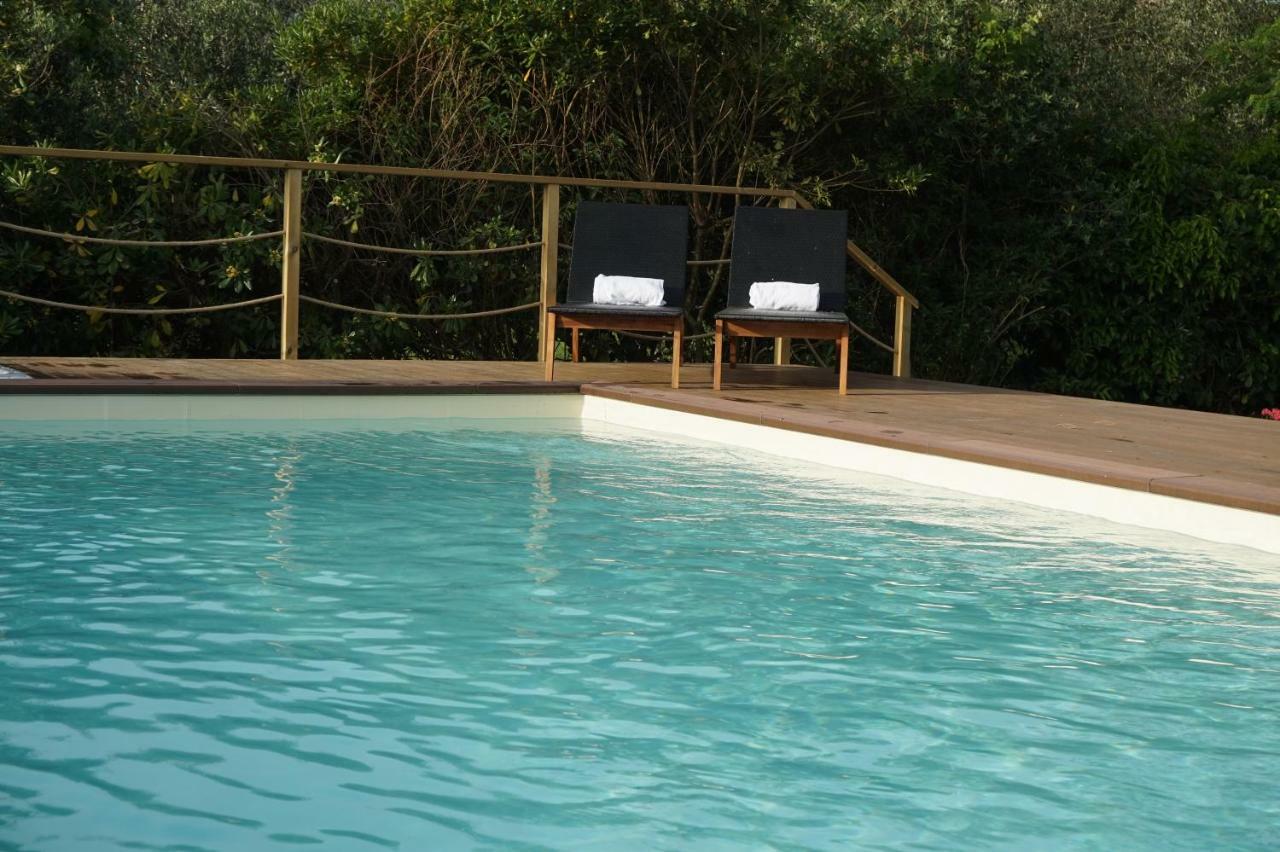 Casa Lucia In Chianti Bed & Breakfast Vagliagli Dış mekan fotoğraf