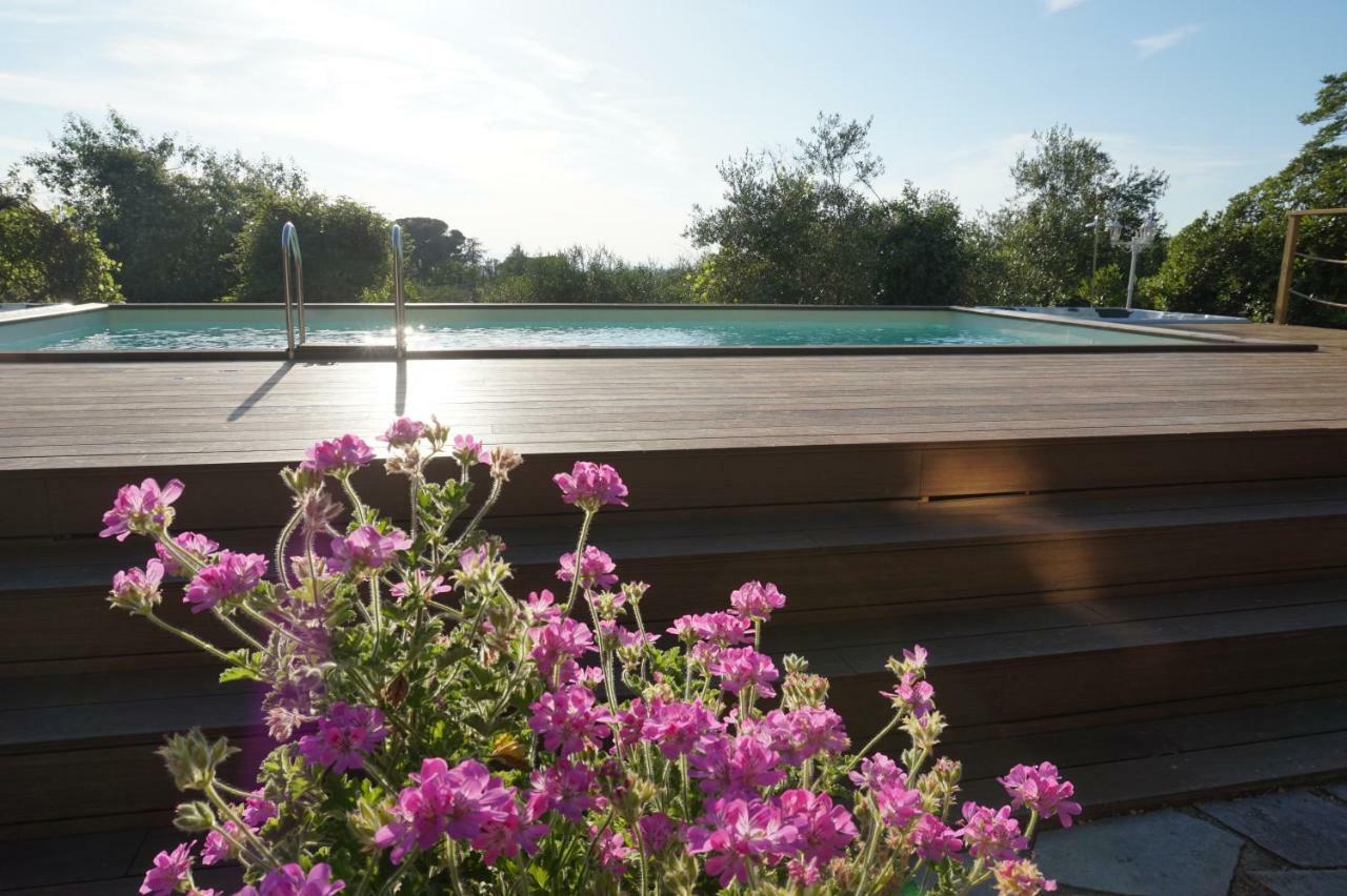 Casa Lucia In Chianti Bed & Breakfast Vagliagli Dış mekan fotoğraf